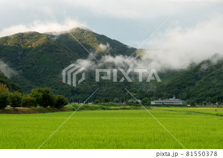 雨上がりの雲 81550378