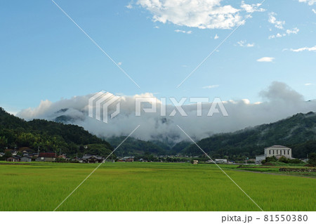 雨上がりの雲 81550380