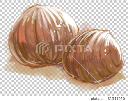 Marron Glacé watercolor illustration Marron Glacé watercolor illustration 81551050
