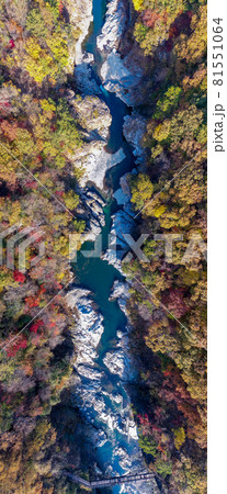 空撮「栃木県」紅葉に染まった龍王峡 空撮「栃木県」紅葉に染まった龍王峡 81551064