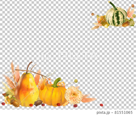 南瓜、潘帕斯草、潘帕斯草、橡子與潘帕斯草和貓的矢量白背框插畫素材 81551065