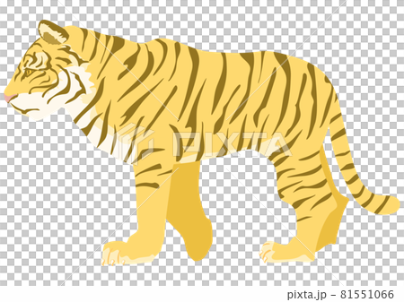 簡單逼真的側身虎 81551066