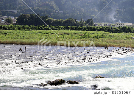 九頭竜川でアユ釣り(福井県 永平寺町) 九頭竜川でアユ釣り(福井県 永平寺町) 81551067