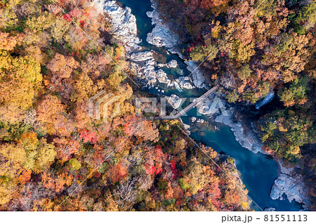 空撮「栃木県」紅葉に染まった龍王峡 81551113