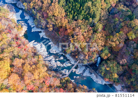空撮「栃木県」紅葉に染まった龍王峡 空撮「栃木県」紅葉に染まった龍王峡 81551114