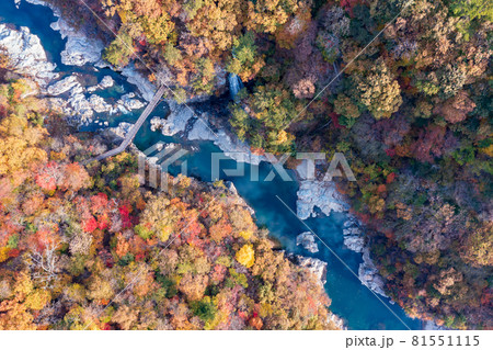空撮「栃木県」紅葉に染まった龍王峡 81551115