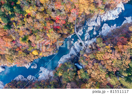 空撮「栃木県」紅葉に染まった龍王峡 81551117