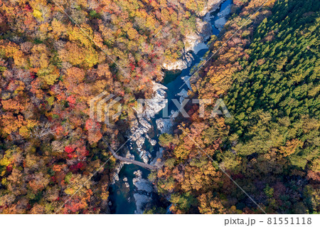 空撮「栃木県」紅葉に染まった龍王峡 空撮「栃木県」紅葉に染まった龍王峡 81551118