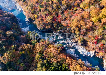 空撮「栃木県」紅葉に染まった龍王峡 81551120