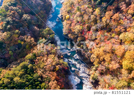 空撮「栃木県」紅葉に染まった龍王峡 81551121