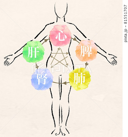 東洋医学の五行説のイラスト 東洋医学の五行説のイラスト 81551707