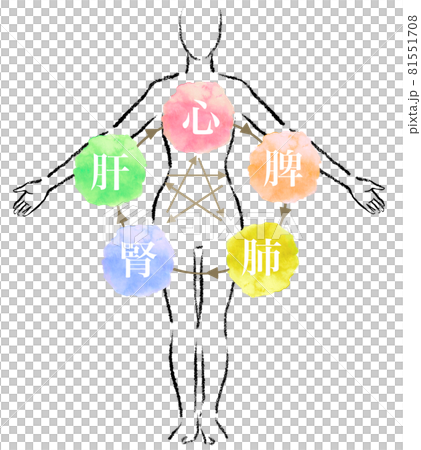 東洋医学の五行説のイラスト 81551708