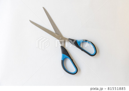 はさみ 81551885