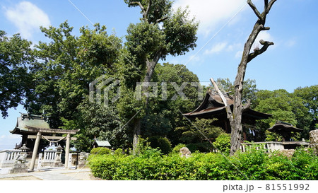 岡山県倉敷市美観地区　阿智神社 81551992