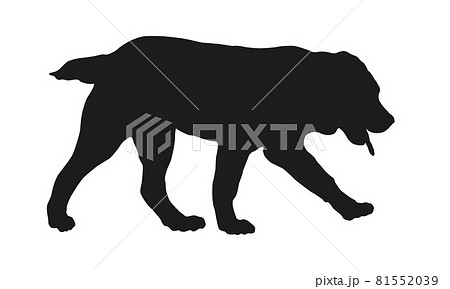 Black dog silhouette. Central asian shepherd dog. 81552039