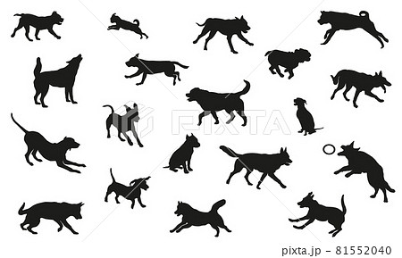 Group of dogs various breed. Black dog silhouette. 81552040