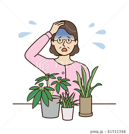 観葉植物を前に頭をかかえる初老の女性 観葉植物を前に頭をかかえる初老の女性 81552398