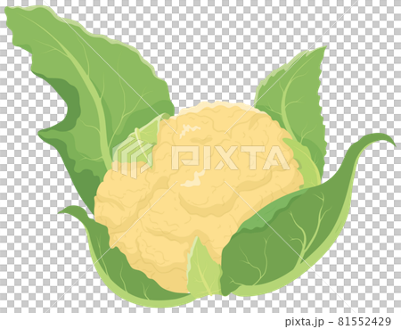 橙色花椰菜 橙色花椰菜 81552429