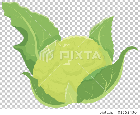 綠花椰菜 綠花椰菜 81552430