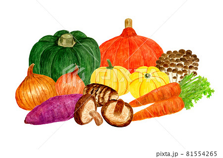 秋野菜の水彩イラストのイラスト素材