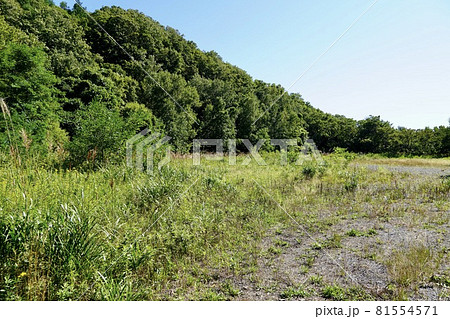 浜益村立浜益中央小学校のグラウンド跡地（廃校） 81554571