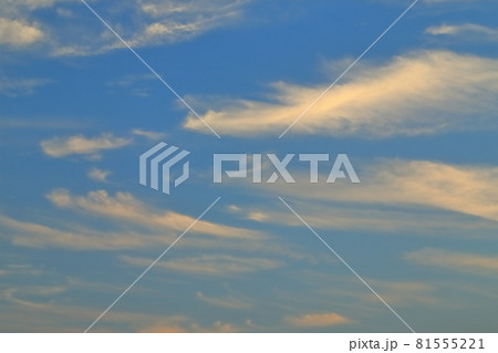 夕焼けに染まる巻雲(すじ雲) 夕焼けに染まる巻雲(すじ雲) 81555221