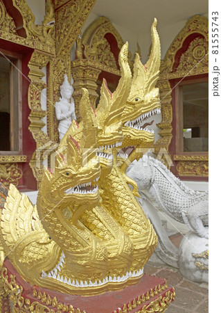 Golden Naga at the stairs in Thai temples 81555743