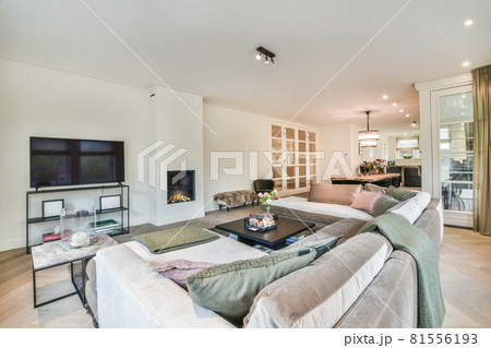 Elegant and spacious living room with beautiful furniture 81556193