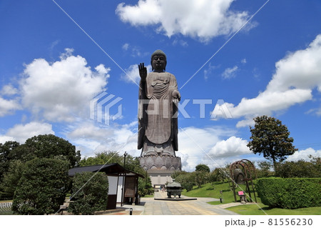 牛久大仏 牛久大仏 81556230
