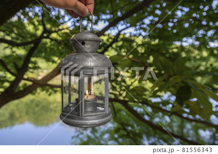 Female hand holds a metal lantern on a background of green trees and a lake. Lantern in his left hand. 81556343