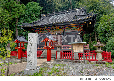静岡浅間神社 少彦名神社 静岡浅間神社 少彦名神社 81556425