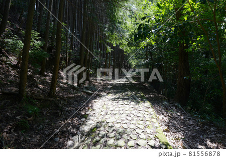 芳徳寺 参道 奈良県奈良市柳生 芳徳寺 参道 奈良県奈良市柳生 81556878