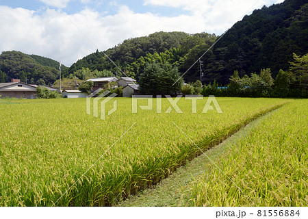 柳生の里 奈良県奈良市 柳生の里 奈良県奈良市 81556884