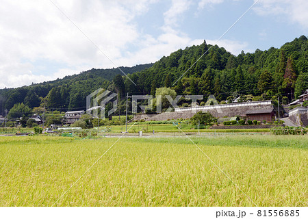 柳生の里　奈良県奈良市 81556885