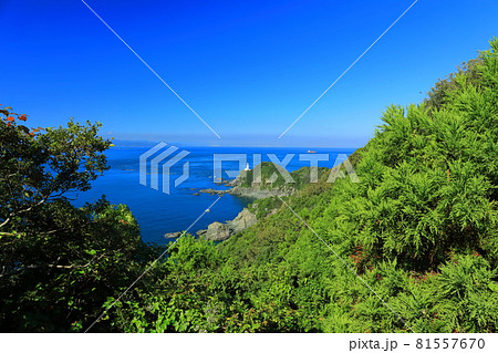 【愛媛県】快晴下の佐田岬灯台 81557670