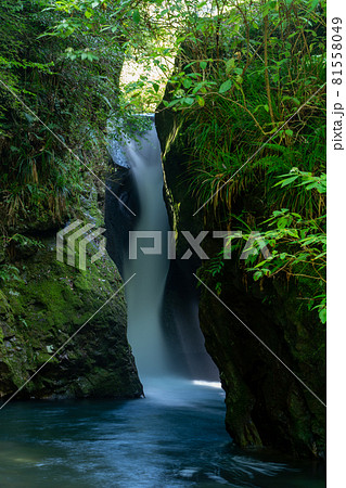 (静岡県伊豆市)行基の滝(ぎょうきのたき) (静岡県伊豆市)行基の滝(ぎょうきのたき) 81558049
