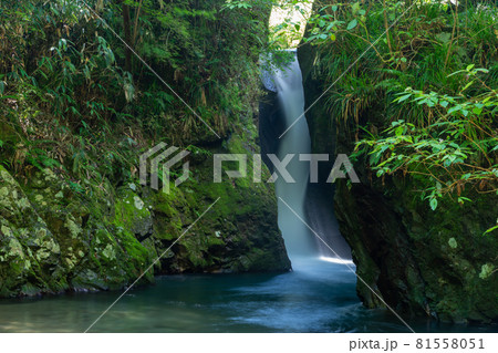 (静岡県伊豆市)行基の滝(ぎょうきのたき) (静岡県伊豆市)行基の滝(ぎょうきのたき) 81558051