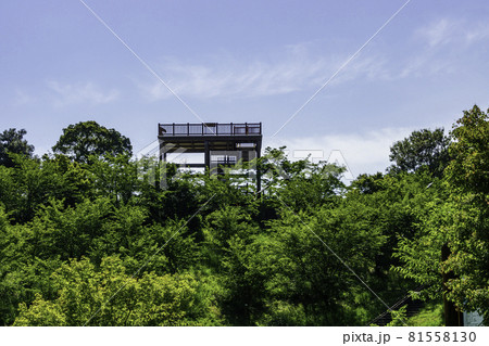瀬戸内海 後山公園 展望台 広島県福山市 瀬戸内海 後山公園 展望台 広島県福山市 81558130