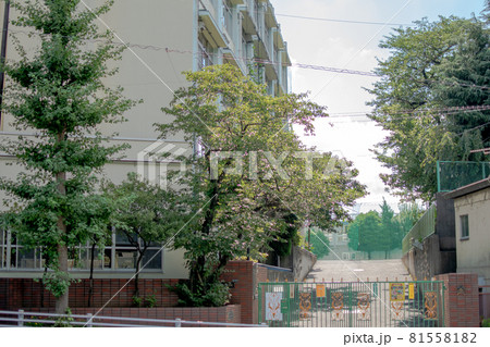 滝野川小学校前／東京都北区西ヶ原 81558182