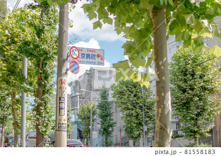 旧古川庭園横/東京都北区西ヶ原 旧古川庭園横/東京都北区西ヶ原 81558183