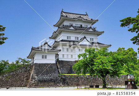 神奈川県　小田原城　天守 81558354