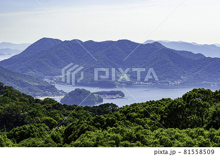 瀬戸内海 田島 広島県福山市 瀬戸内海 田島 広島県福山市 81558509