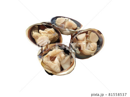 焼き蛤盛り合わせ 焼き蛤盛り合わせ 81558537