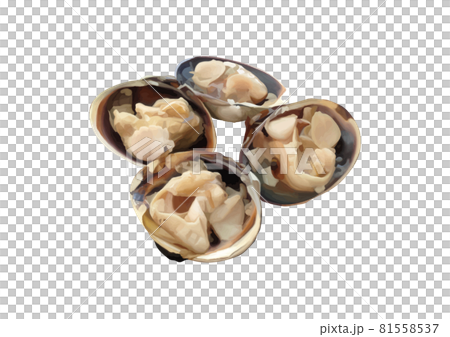 焼き蛤盛り合わせ 焼き蛤盛り合わせ 81558537