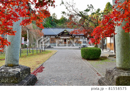 足羽神社 足羽神社 81558575