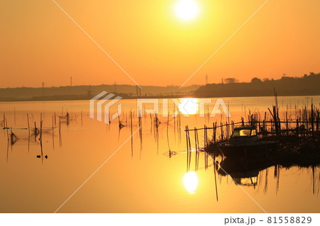 印旛沼の日の出 81558829