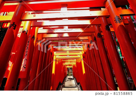 日枝神社の千本鳥居 81558865