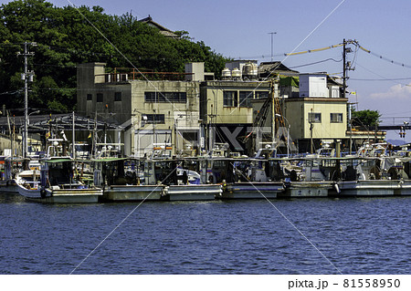 鞆の浦 港の風景 広島県福山市 鞆の浦 港の風景 広島県福山市 81558950