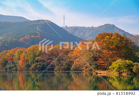 荒川 玉淀ダム湖 秋の風景 紅葉の季節 荒川 玉淀ダム湖 秋の風景 紅葉の季節 81558992