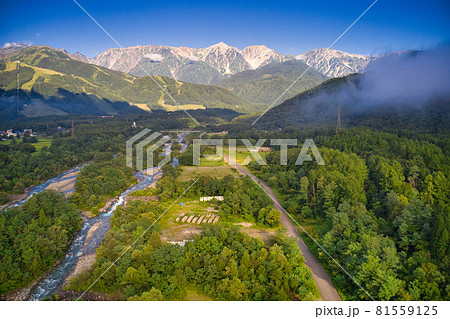 雄大で美しい早朝の白馬三山と松川　長野県白馬村（ドローンによる空撮） 81559125